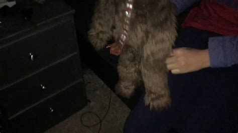 Mickeys Sexy And Horny Compilation Youtube