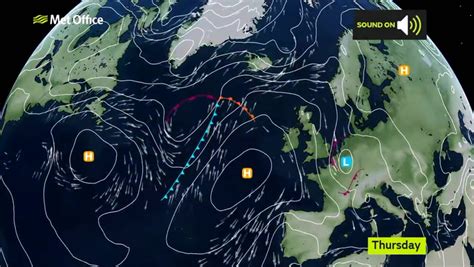 Trees down across Devon as weather warning in place - updates - Devon Live