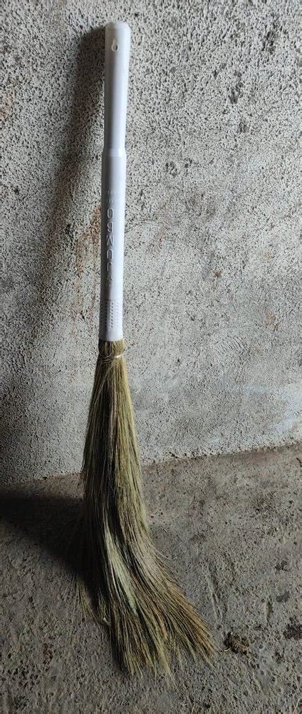 Grass White Plastic Handle Phool Jhadu At Rs 99 Piece In Valsad ID