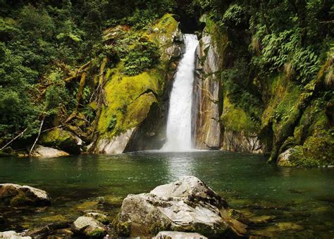 Fiordland National Park: The Complete Guide