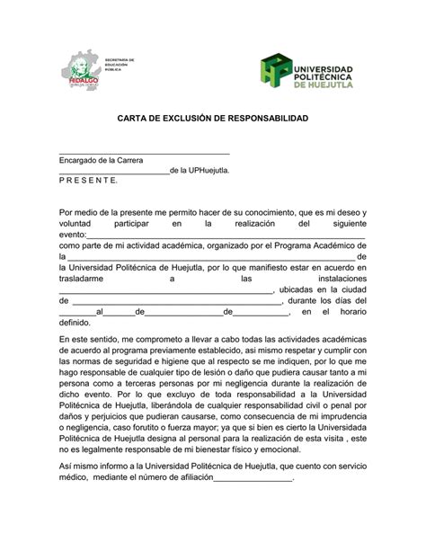 Modelo Carta De Responsabilidad