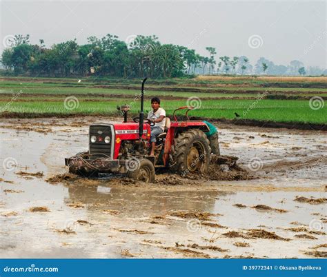 Tractor Que Ara Un Campo Del Arroz En Chitvan Nepal Foto Editorial