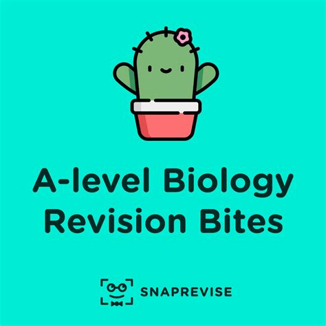 Monosaccharides, Disaccharides and Fast Food - A level Biology