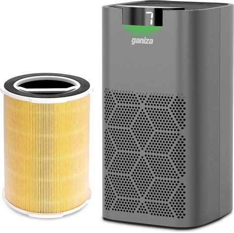 Amazon Ganiza G S Air Purifiers For Home Large Room And Pet