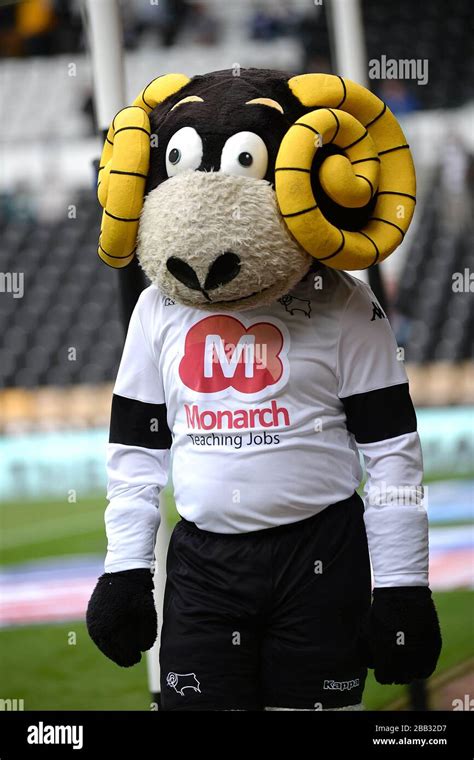 Derby County mascot Rammy the Ram Stock Photo - Alamy