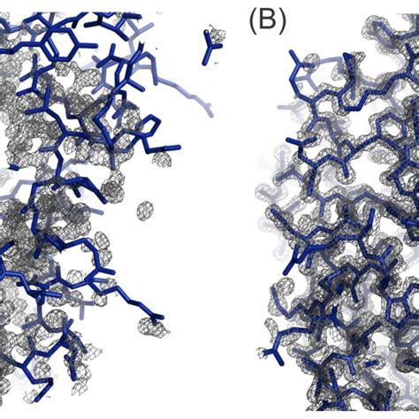 Figure S2 Comparison Of Lomets And I Tasser Models For Molecular