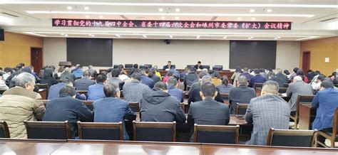 城南新区召开会议学习贯彻党的十九届四中全会、省委十四届六次全会和嵊州市委常委（扩大）会议精神 嵊州新闻网