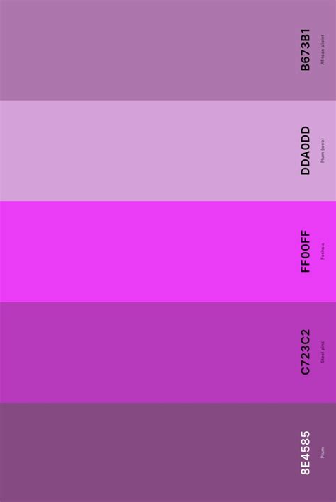 25+ Best Magenta Color Palettes with Names and Hex Codes in 2024 | Hex ...