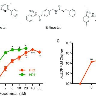 Dose And Time Dependent Induction Of Avbd Mrna Expression By