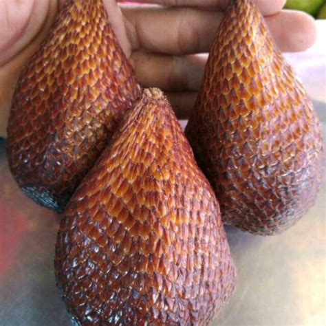 Jual Salak Pondoh Super Premium Kg Shopee Indonesia