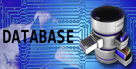 Repair And Optimize Database In Wordpress Tarhib It Ltd