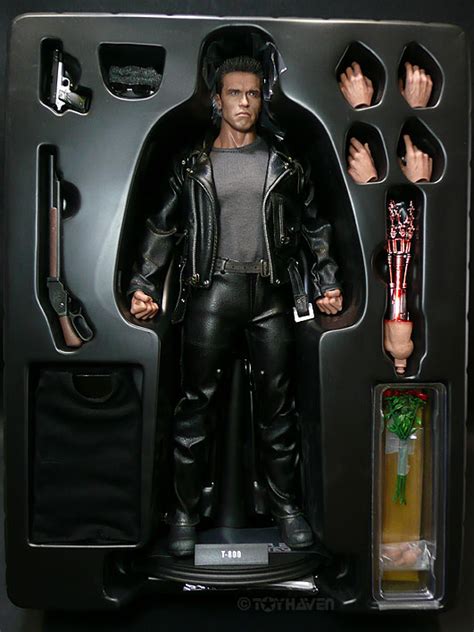 Toyhaven Hot Toys Terminator T Inch Figure REVIEW