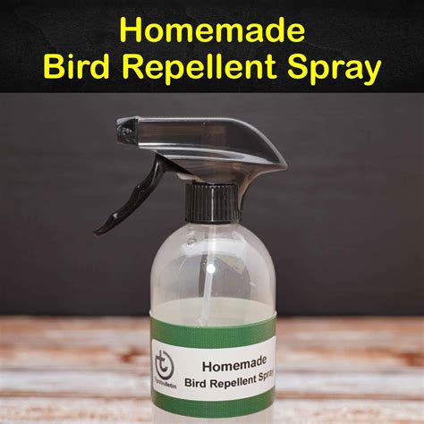 Keeping Birds Away - 3 Homemade Bird Repellent Spray Recipes