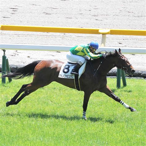 【tuf杯】良血サトノファビュラスとコンビ組む丸田恭介騎手「状態は維持」 Umatoku 馬トク