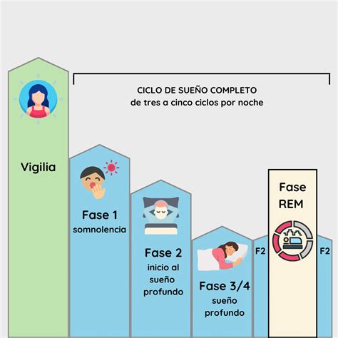 Fisiolog A Del Sue O Terapiacpap Especialistas En Apnea Del Sue O Y