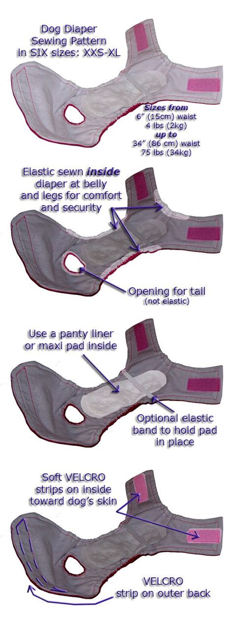 the diagram shows different types of shoes and how they are used to ...