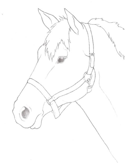 Simple Horse Head Drawing - Viewing Gallery