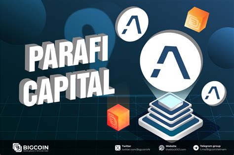 ParaFi Capital là gì Tổng quan về danh mục đầu tư của ParaFi Capital