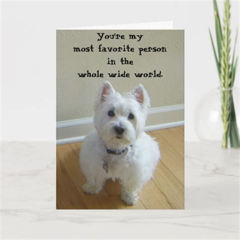 Westie Cards Zazzle Uk