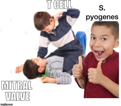 Meme While Studying Pathology This Ocurred To Me Rmedicalschool