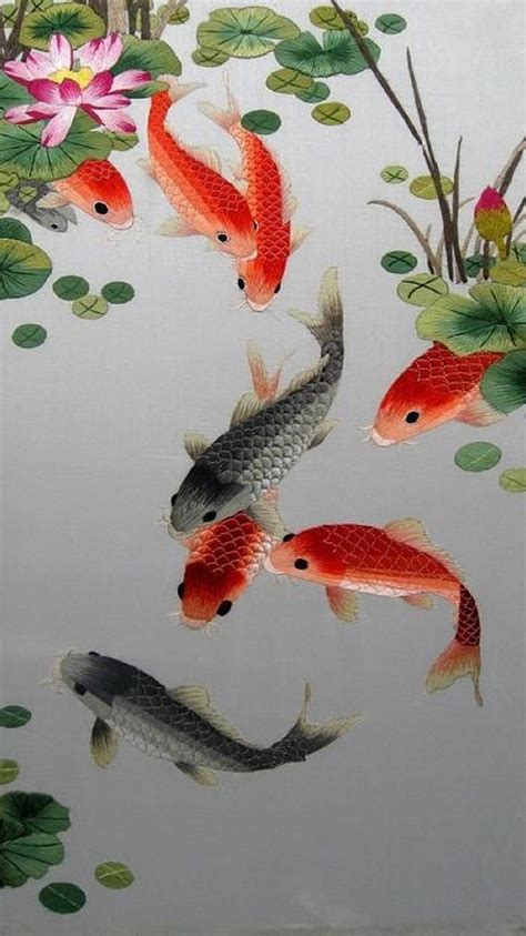 Koi Fish Hd Wallpapers Pxfuel Off Rbk Bm