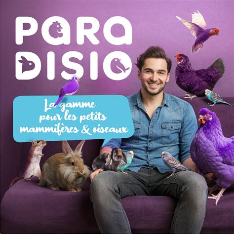 Animalis Paradisio Nude Agence conseil en stratégie création et communication de marque