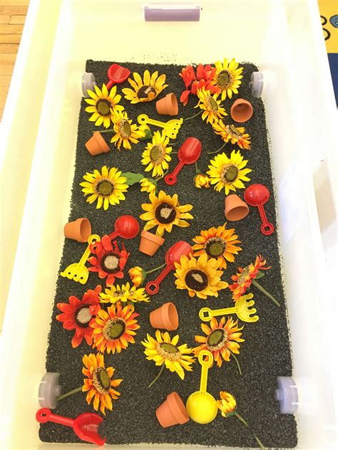 Sunflower Sensory Table April Activities Explorers Activities Senior