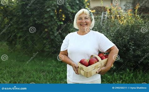 Happy Farmer Woman Picking Apples From An Apple Tree In Garden At