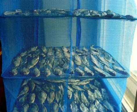 Сітка для сушіння риби та фруктів 50х50х70 см Синій 4 яруси (ICL44 ...