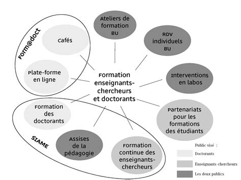 Mutualisation des pratiques pédagogiques en milieu universitaire La