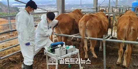 경남도 축산연구소 이동식 한우 수정란 생산 서비스 확대