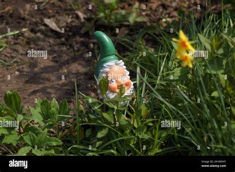 Drei zwerge Fotos und Bildmaterial in hoher Auflösung Alamy