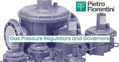 Pietro Fiorentini Gas Regulators Sales in the Pacific Northwest