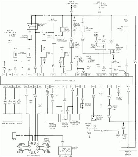 Fleetwood Rv Electrical Wiring Diagram Manual E Books Fleetwood Rv