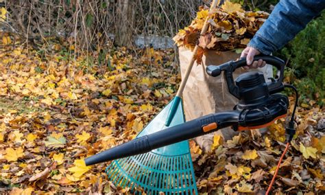 Are Electric Leaf Blowers Better Than Gas Best Of Machinery