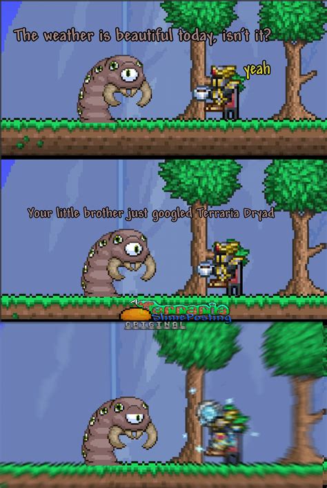 1077 Best Dryads Images On Pholder Terraria Dn D And Terraria Memes