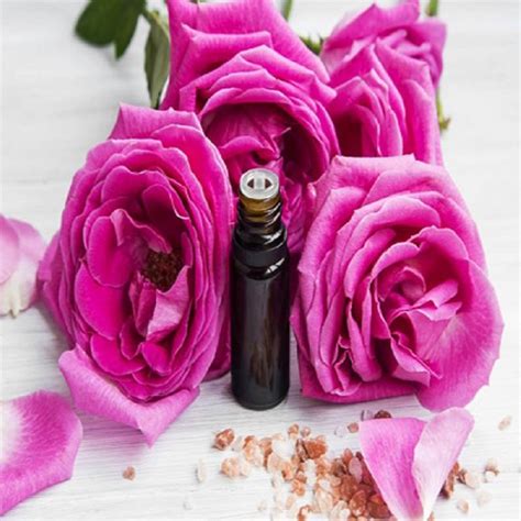 Rose Concentrated Perfume Oil Ruh Gulab Attar Ml Pack For Apparel