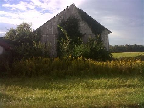 Old Barn Free Stock Photo Public Domain Pictures