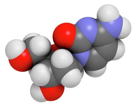 Deoxycytidine Nucleoside Molecule Photograph by Molekuul - Fine Art America