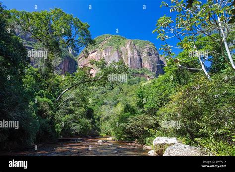 Amboro National Park Bolivia Stock Photo - Alamy