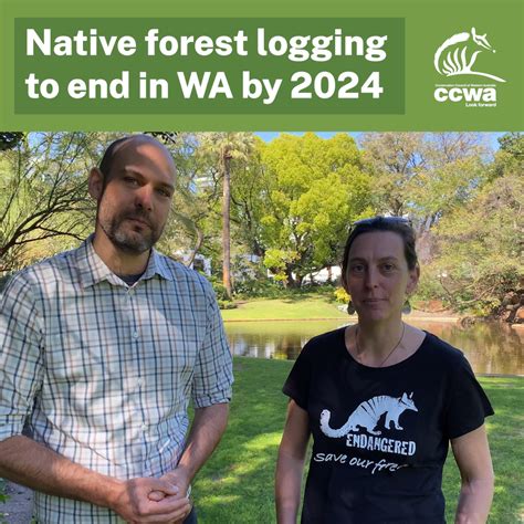 Conservation Groups Declare ‘breakthrough’ On Native Forest Logging As A Win For Community And