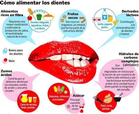 Alimentación Y Salud Dental Irrigador Bucal