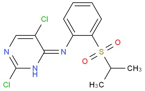 25 二氯 N 2 1 甲基乙基磺酰 苯基 江西伯业科技发展有限公司