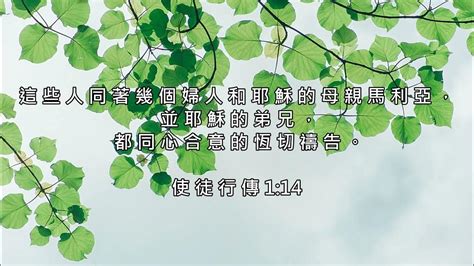 【詩歌純音樂 中英聖經金句】prayer （禱告） 齊來思考神的話語 從中得著智慧 Youtube