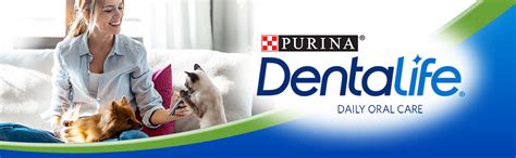 Dentalife Purina Adult Dental Cat Treats Salmon 1 1875 Lb Pack Of 1