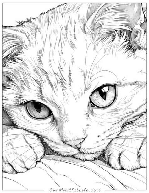 67 Super Cute Cat Coloring Pages Free Printable Our Mindful Life In