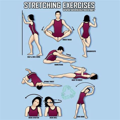 17 Best images about Wellness - Stretching Exercises on Pinterest ...