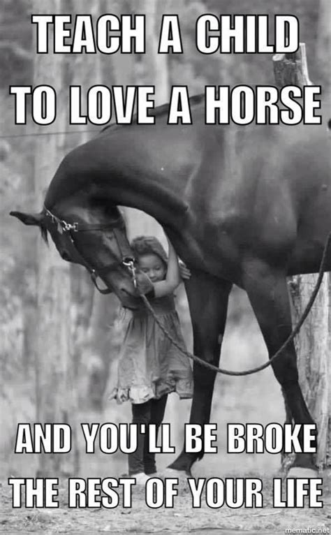 35++ Funny horse pictures and quotes information | horsestableideas