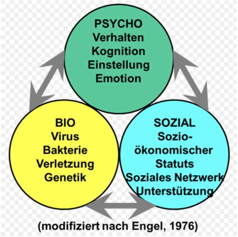 Gesundheitspsychologie Karteikarten Quizlet