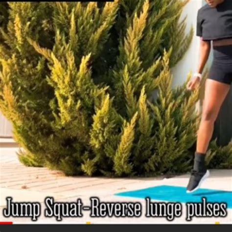 Jump Squat Reverse Lunge Pulses By ꧁𝒩𝒶𝓉𝒽𝒶𝓁𝒾ℯ ꧂ ℒ𝒾𝓉𝒶𝓁𝒾ℯ𝓃 Exercise How To Skimble